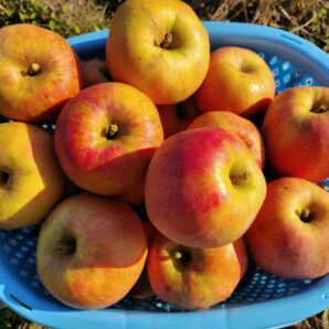 ムーンルージュ　3kg