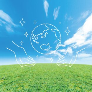 特別栽培農産物って何?りんご栽培での特徴。減農薬栽培との違いなど