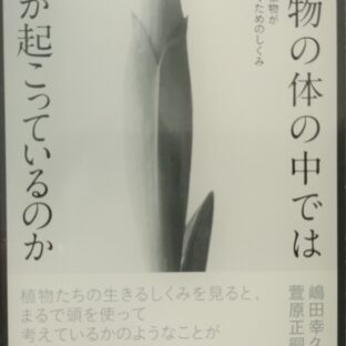 「植物の体の中では何が起こっているのか」本まとめ①