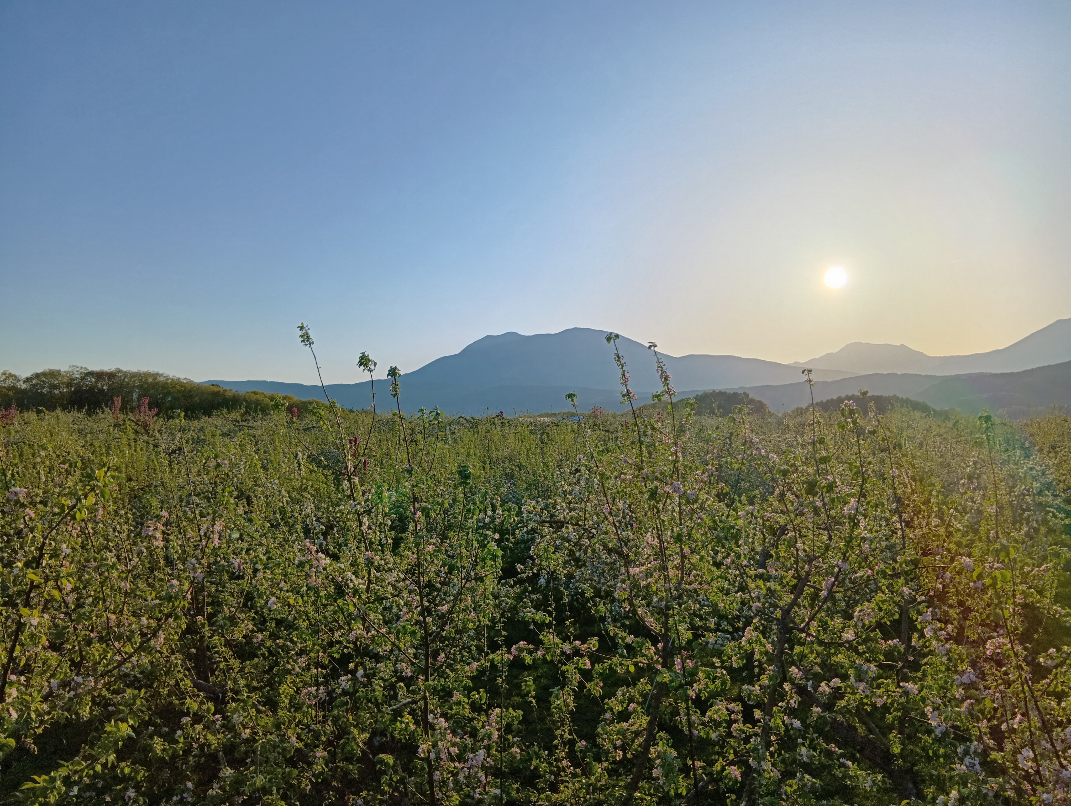夕暮れ時の飯綱山